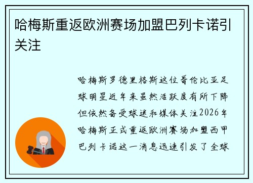 哈梅斯重返欧洲赛场加盟巴列卡诺引关注 哈梅斯重返欧洲赛场加盟巴列卡诺引关注